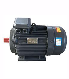 揚子自主研發銅制電機